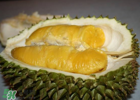 紅肉榴蓮是什么品種？紅色的榴蓮是什么品種？