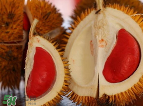 紅肉榴蓮是什么品種？紅色的榴蓮是什么品種？