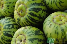 菜瓜到底是不是黃瓜？ 菜瓜和黃瓜的區(qū)別