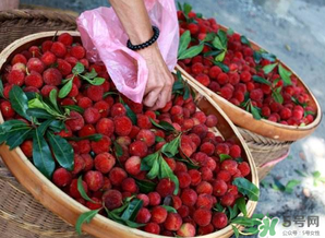 楊梅和西瓜能一起吃嗎？西瓜可以和楊梅一起吃嗎？