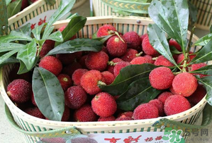 楊梅和西瓜能一起吃嗎？西瓜可以和楊梅一起吃嗎？