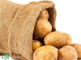 馬鈴薯有毒嗎？馬鈴薯生吃有毒嗎？