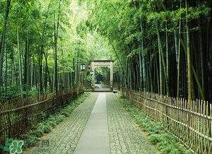 6月份去杭州穿什么？六月份去杭州穿衣搭配