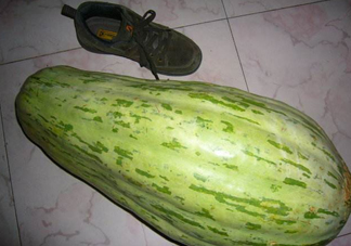 菜瓜怎么炒好吃？菜瓜怎么做好吃