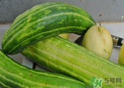菜瓜到底是不是黃瓜？ 菜瓜和黃瓜的區(qū)別