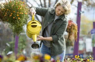 茶葉水可以澆花嗎？茶葉水能澆花嗎？