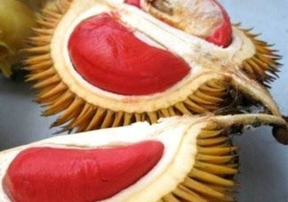 紅心榴蓮好吃嗎？紅心榴蓮和普通榴蓮哪個(gè)好吃?