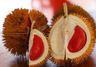 紅心榴蓮叫什么？紅心榴蓮是哪個國家產(chǎn)的？