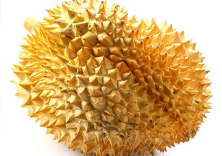 紅心榴蓮是轉(zhuǎn)基因的嗎？紅心榴蓮是不是轉(zhuǎn)基因？