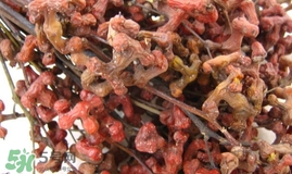 萬壽果多少錢一斤2017？萬壽果什么時(shí)候成熟