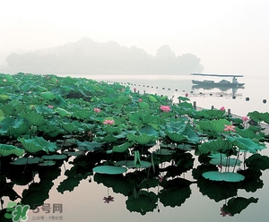 6月份去杭州穿什么？六月份去杭州穿衣搭配