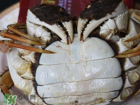 為什么說六月黃有公蟹沒有母蟹？怎樣區(qū)分螃蟹的公母