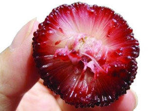 楊梅籽可以吃嗎？吃楊梅籽有什么好處？