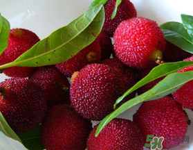 楊梅和榴蓮可以一起吃嗎？吃完楊梅可以和吃榴蓮嗎？