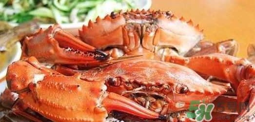 吃花蓋蟹可以喝啤酒嗎？吃花蓋蟹能喝啤酒嗎