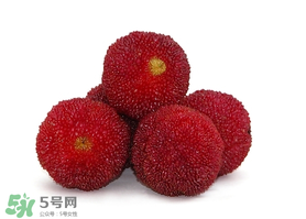 吃完楊梅不能吃什么？吃完楊梅可以吃別的水果嗎？