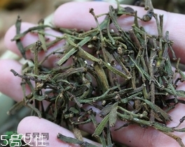 螃蟹腳茶哪些人不能喝？螃蟹腳茶哪些人能喝