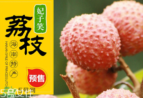 妃子笑荔枝多少錢一斤？2017妃子笑荔枝價格