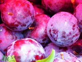 紅心李子孕婦可以吃嗎？紅心李子營養(yǎng)價值