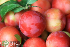 ?楊梅和李子能一起吃嗎？楊梅和李子一起吃會中毒嗎？