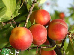 ?楊梅和李子能一起吃嗎？楊梅和李子一起吃會中毒嗎？