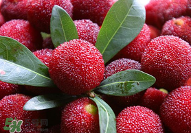 楊梅籽可以吃嗎？吃楊梅籽有什么好處？