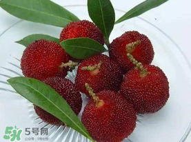 楊梅籽可以吃嗎？吃楊梅籽有什么好處？