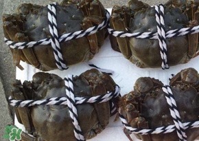 六月黃公蟹好還是母蟹好？六月黃公蟹里面的是黃嗎？