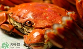 為什么說六月黃有公蟹沒有母蟹？怎樣區(qū)分螃蟹的公母