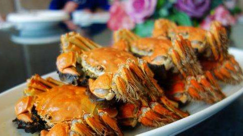 六月黃怎么保存？六月黃如何保存