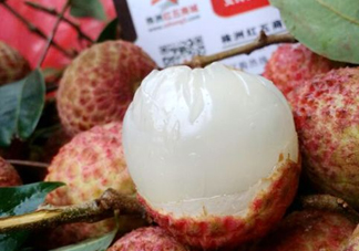 白糖罌荔枝怎樣保果的？白糖罌荔枝和白蠟的區(qū)別