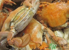 花蓋蟹死了能吃嗎？花蓋蟹死多久之內(nèi)能吃？