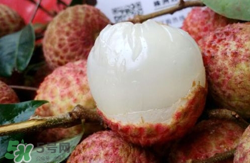 白糖罌荔枝怎樣保果的？白糖罌荔枝和白蠟的區(qū)別