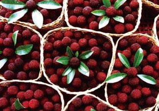 ?楊梅和李子能一起吃嗎？楊梅和李子一起吃會(huì)中毒嗎？