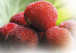 楊梅和黃瓜可以一起吃嗎？吃完楊梅可以吃黃瓜嗎？