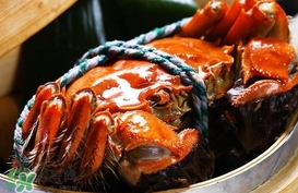 六月黃公蟹好還是母蟹好？六月黃公蟹里面的是黃嗎？