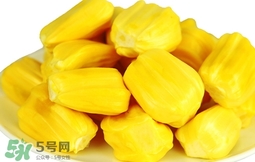 菠蘿蜜軟了還能吃嗎？菠蘿蜜軟了怎么辦？