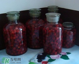 泡楊梅酒用什么瓶子？楊梅酒可以用塑料瓶泡嗎？