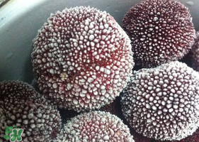 楊梅在冷凍室能放多久？楊梅冰凍后還能吃嗎？