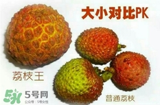 荔枝王好吃嗎？荔枝王和妃子笑的區(qū)別