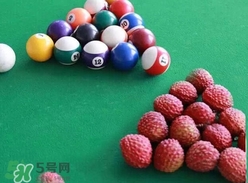 荔枝王的產(chǎn)地是哪里？荔枝王產(chǎn)地在哪兒