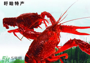 2017盱眙龍蝦節(jié)有哪些明星？2017盱眙龍蝦節(jié)明星