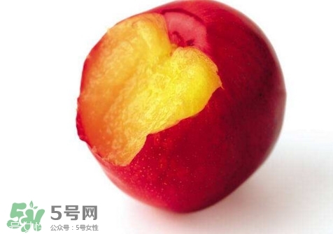 桃駁李是轉基因嗎？桃駁李是不是轉基因