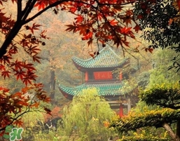 7月份去長沙穿什么？七月份去長沙穿什么衣服