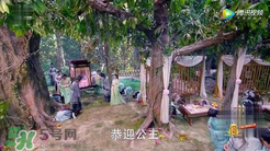 諜紙?zhí)煅酆屯鸂I有什么關(guān)系？