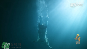 諜紙?zhí)煅酆屯鸂I有什么關(guān)系？