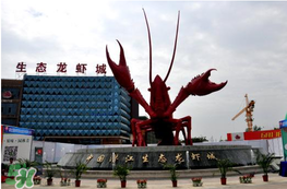 2017潛江龍蝦節(jié)門票多少錢？2017潛江龍蝦節(jié)門票