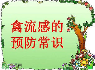 6月有禽流感嗎？2017年6月有禽流感嗎？