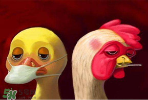 6月有禽流感嗎？2017年6月有禽流感嗎？