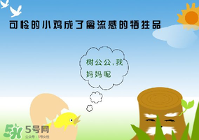 6月有禽流感嗎？2017年6月有禽流感嗎？